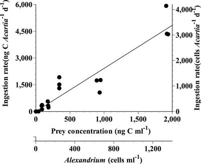 Grazing impact of the calanoid copepods Acartia spp. on the toxic dinoflagellate Alexandrium pseudogonyaulax in the western coastal waters of Korea